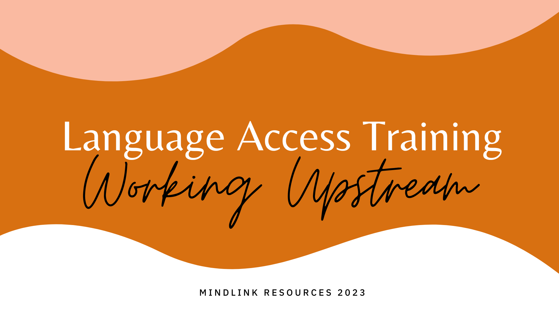 Mindlink Language Access Training Day – Working Upstream
