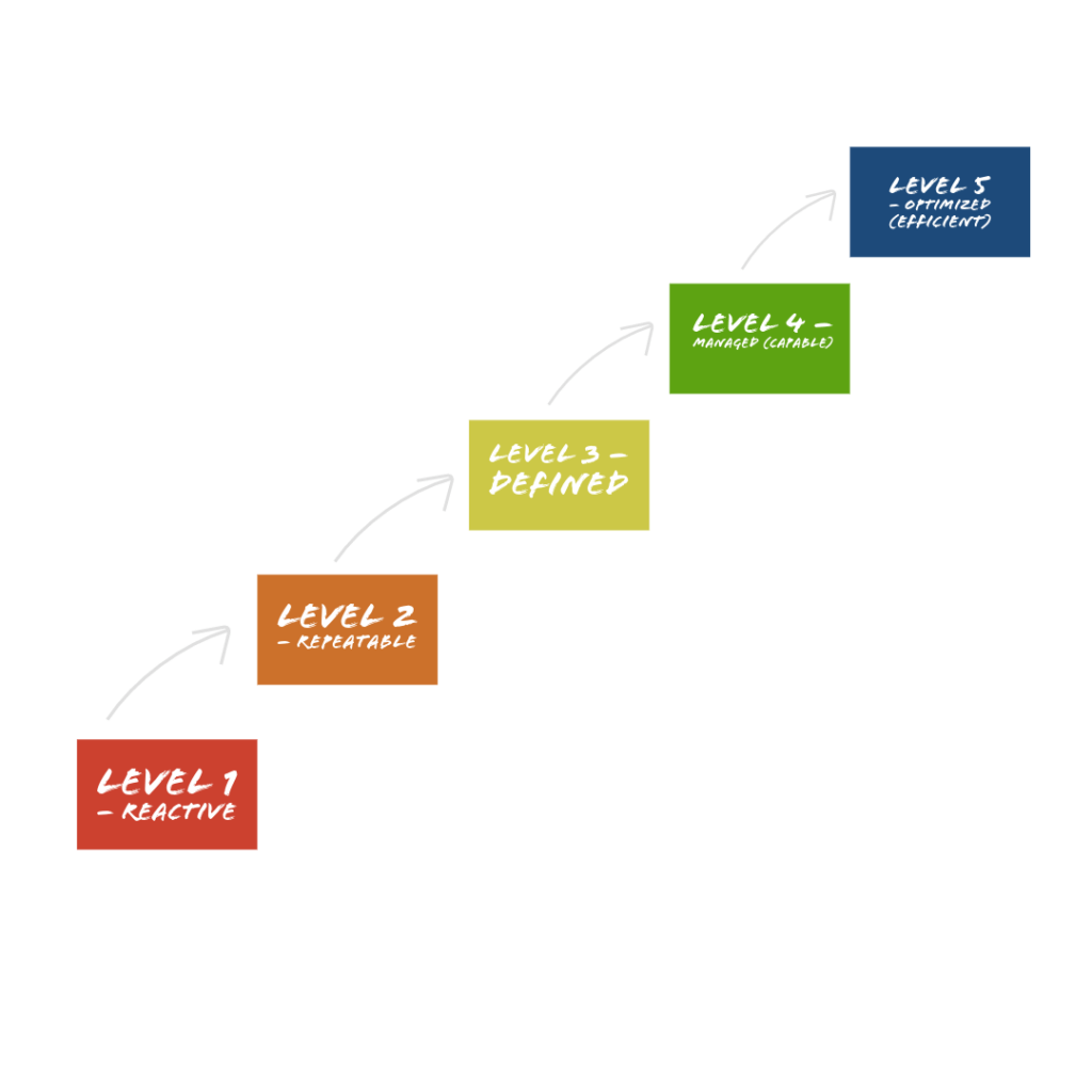 language-access-maturity-model-diagram